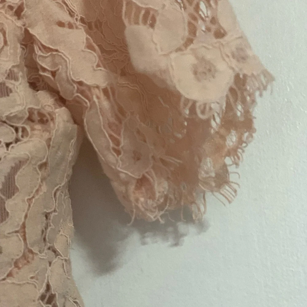 Maniju Blush Lace Midi Dress Size S Sheer Net Panel Formal Gown Back Zipper - Picture 6 of 14